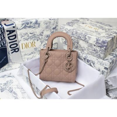 Dior Bags AAA 005